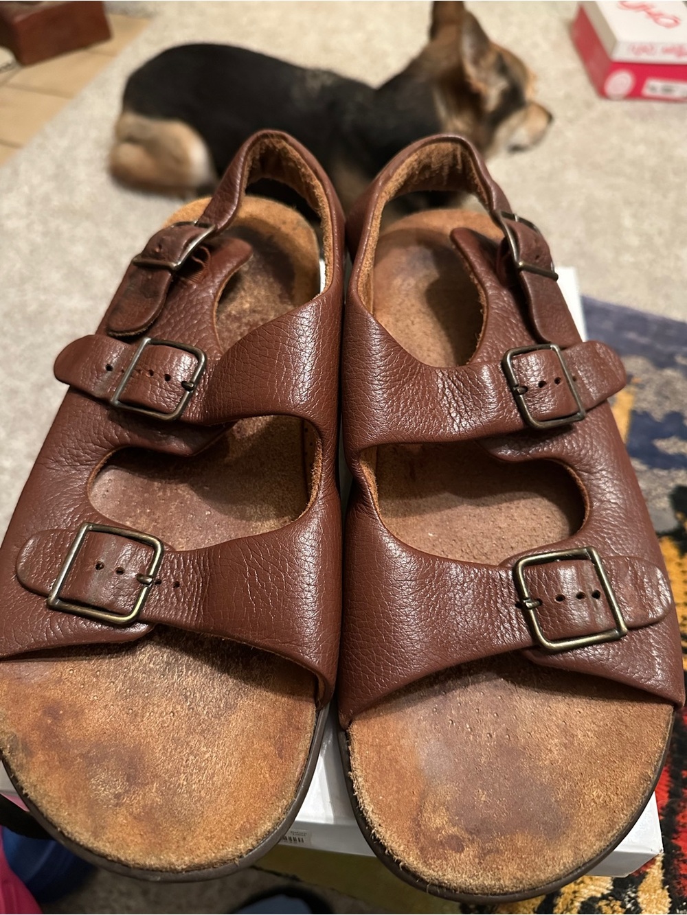SAS Brown Leather Double-Buckle Sandals